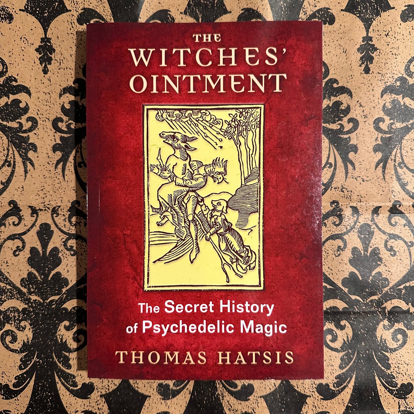 The Witches' Ointment