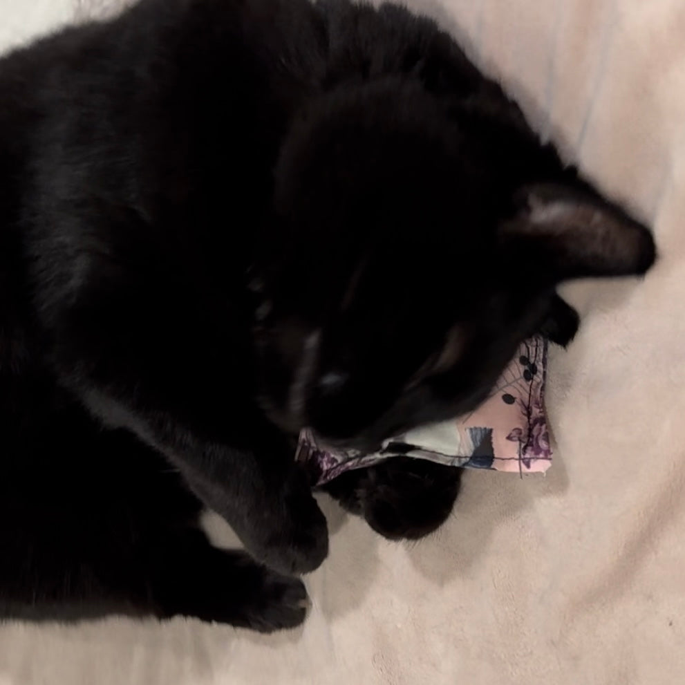 Stella's Stuffies Catnip Pillows