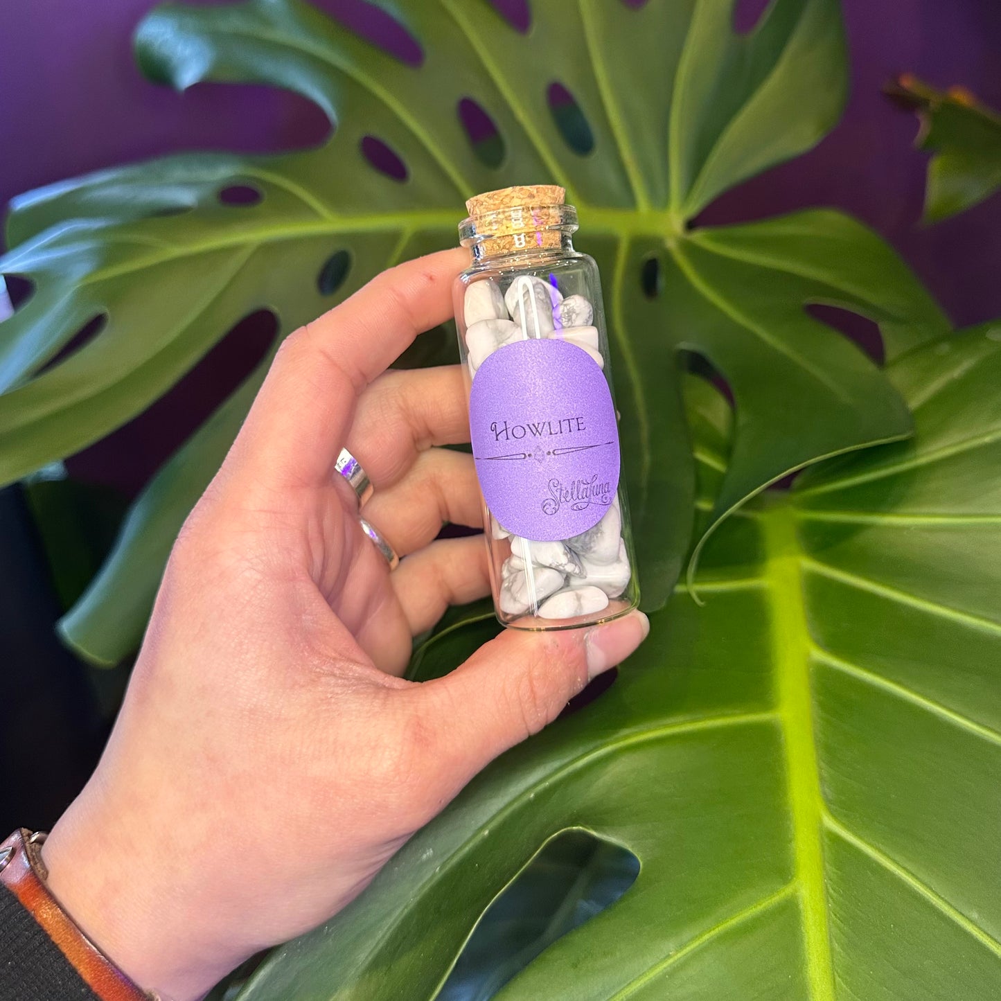 Howlite Crystal Chips