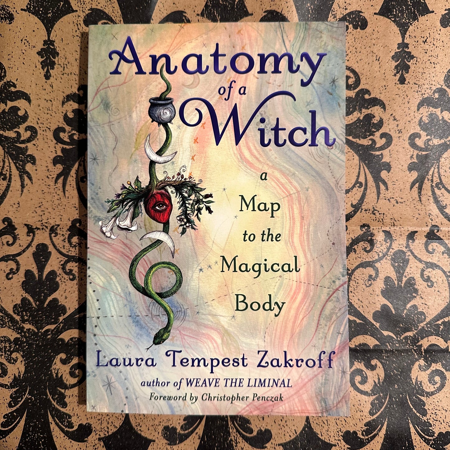 Anatomy of a Witch Book