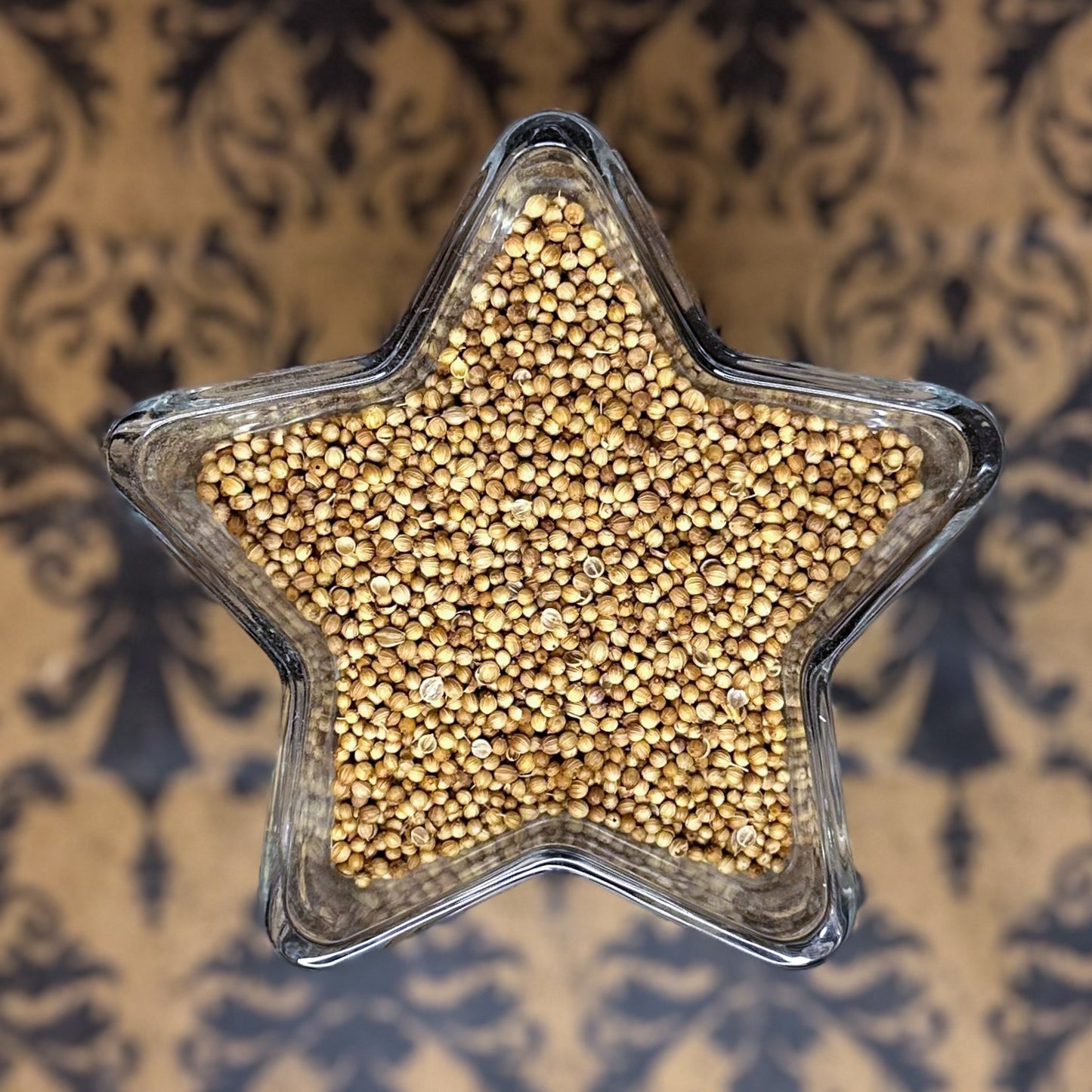 Coriander Seed