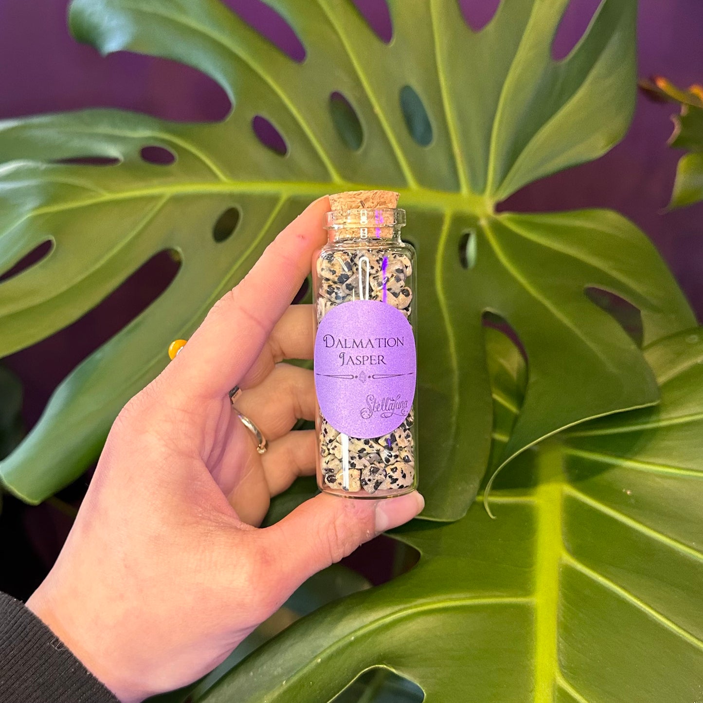 Dalmatian Jasper Crystal Chips