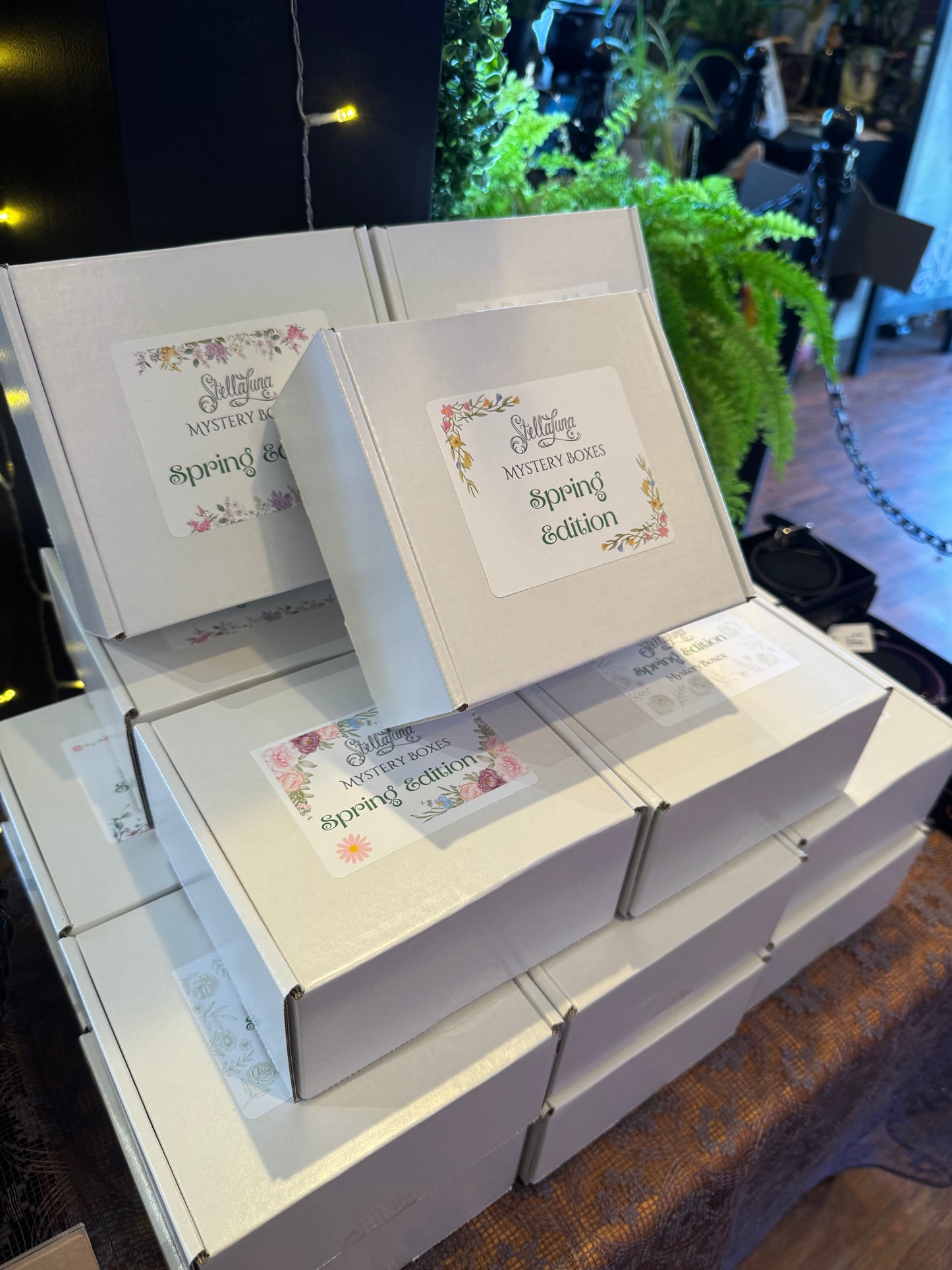 Mystery Box Spring Edition 2025