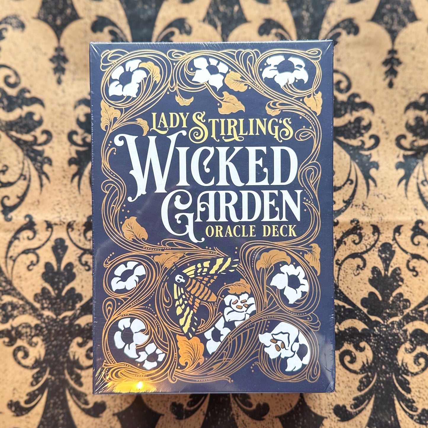 Lady Sterling Wicked Garden Oracle