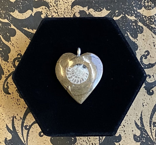 Pendant Sterling Silver Ammonite Heart Left