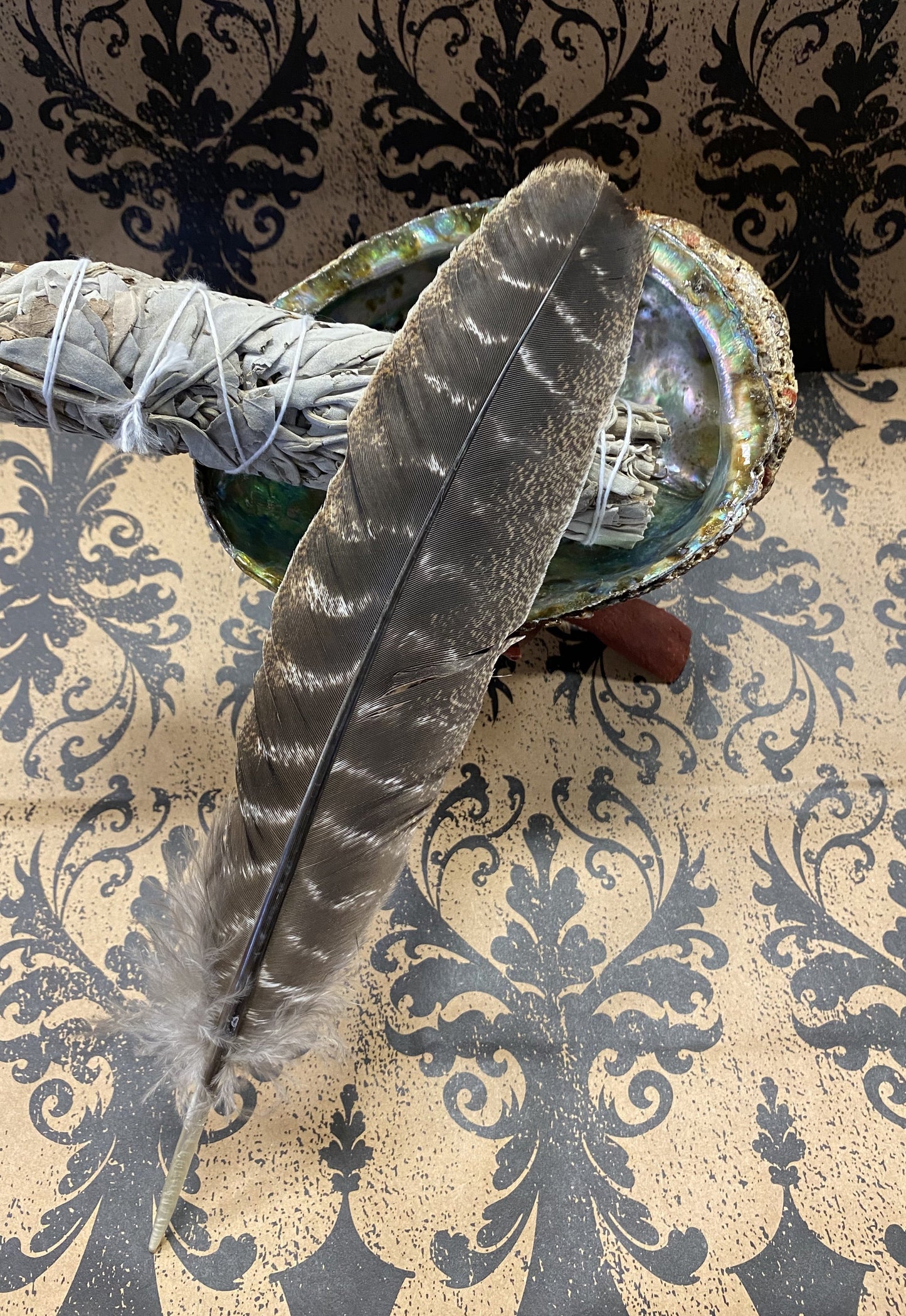 Turkey Feather