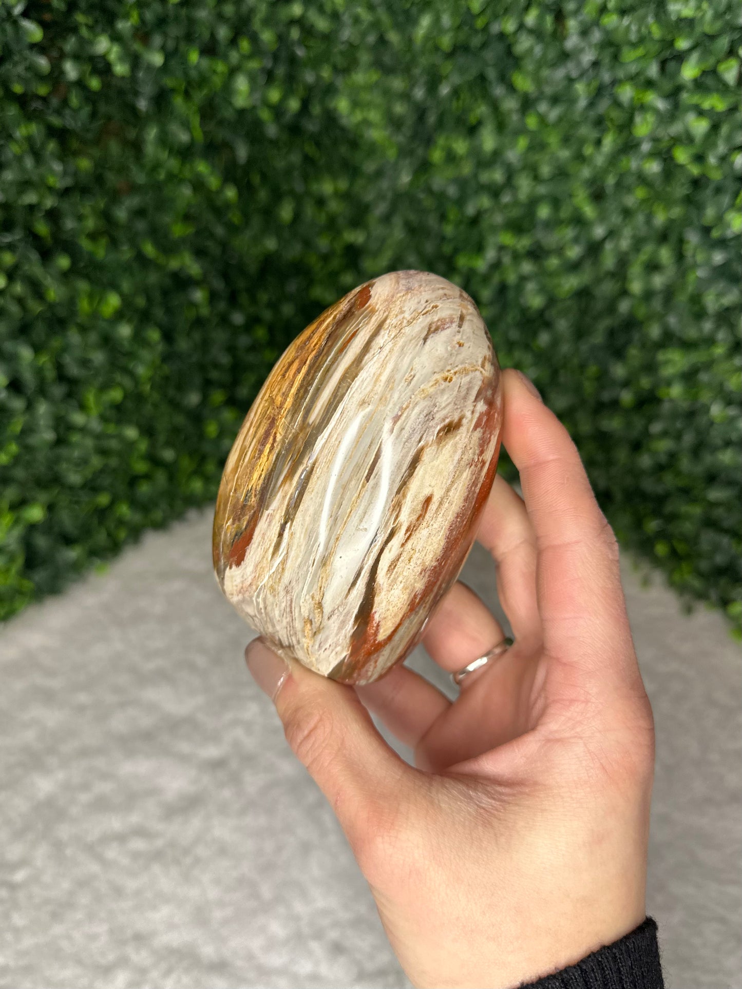 Petrified Wood Freeform