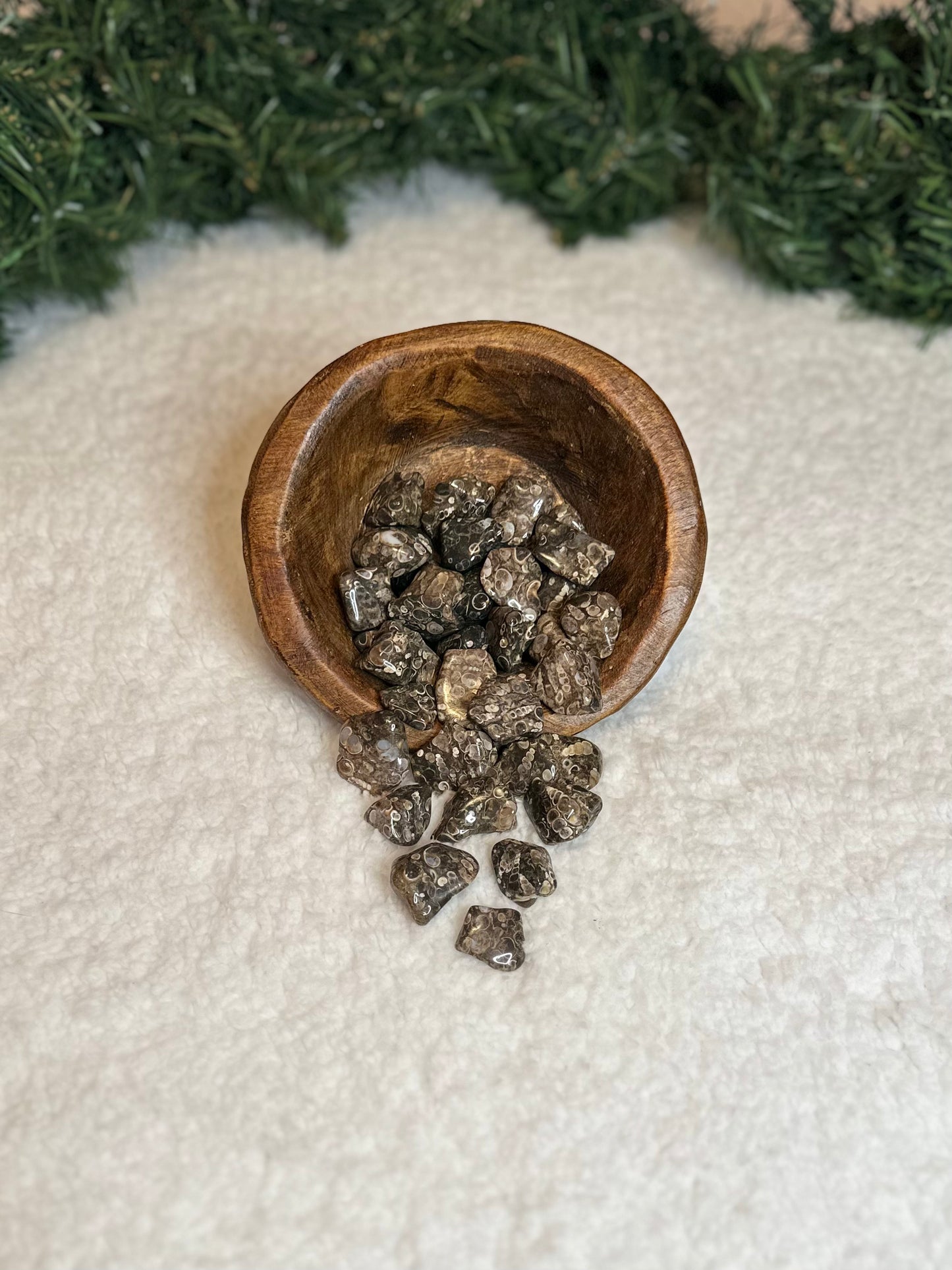 Turitella Agate