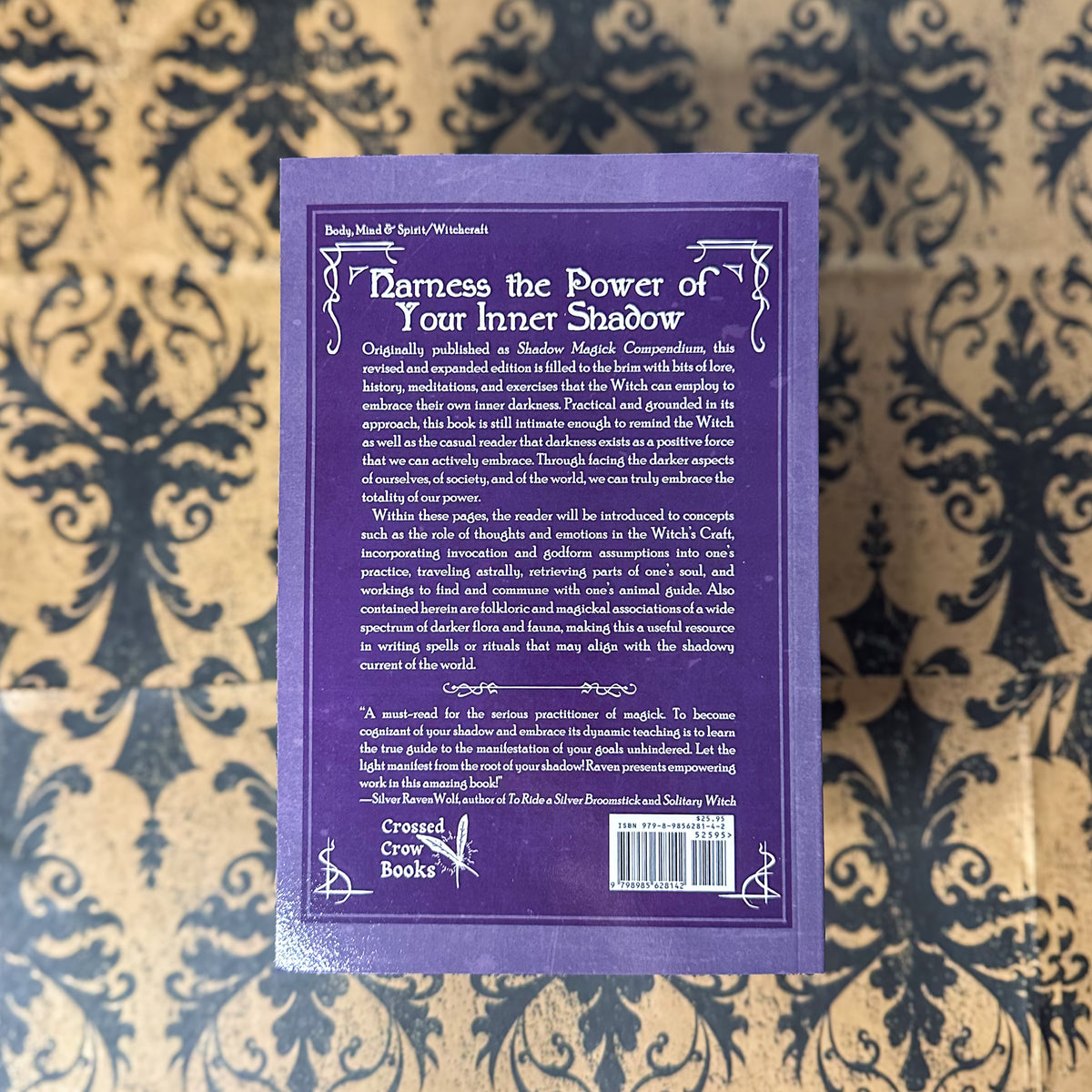 A Witch's Shadow Magick Compendium