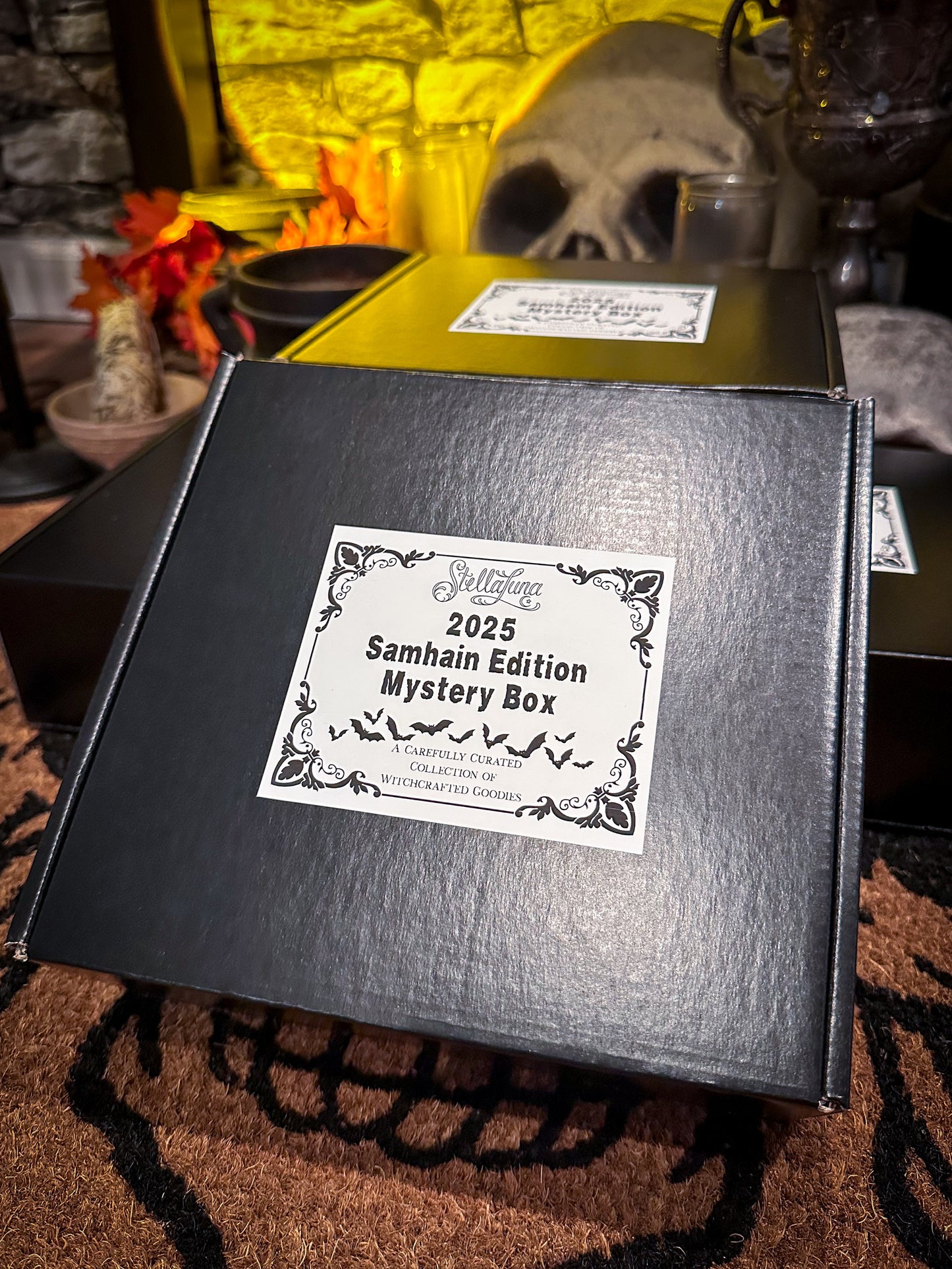Mystery Box 2025 Samhain Edition
