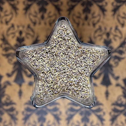 Lavender Flowers