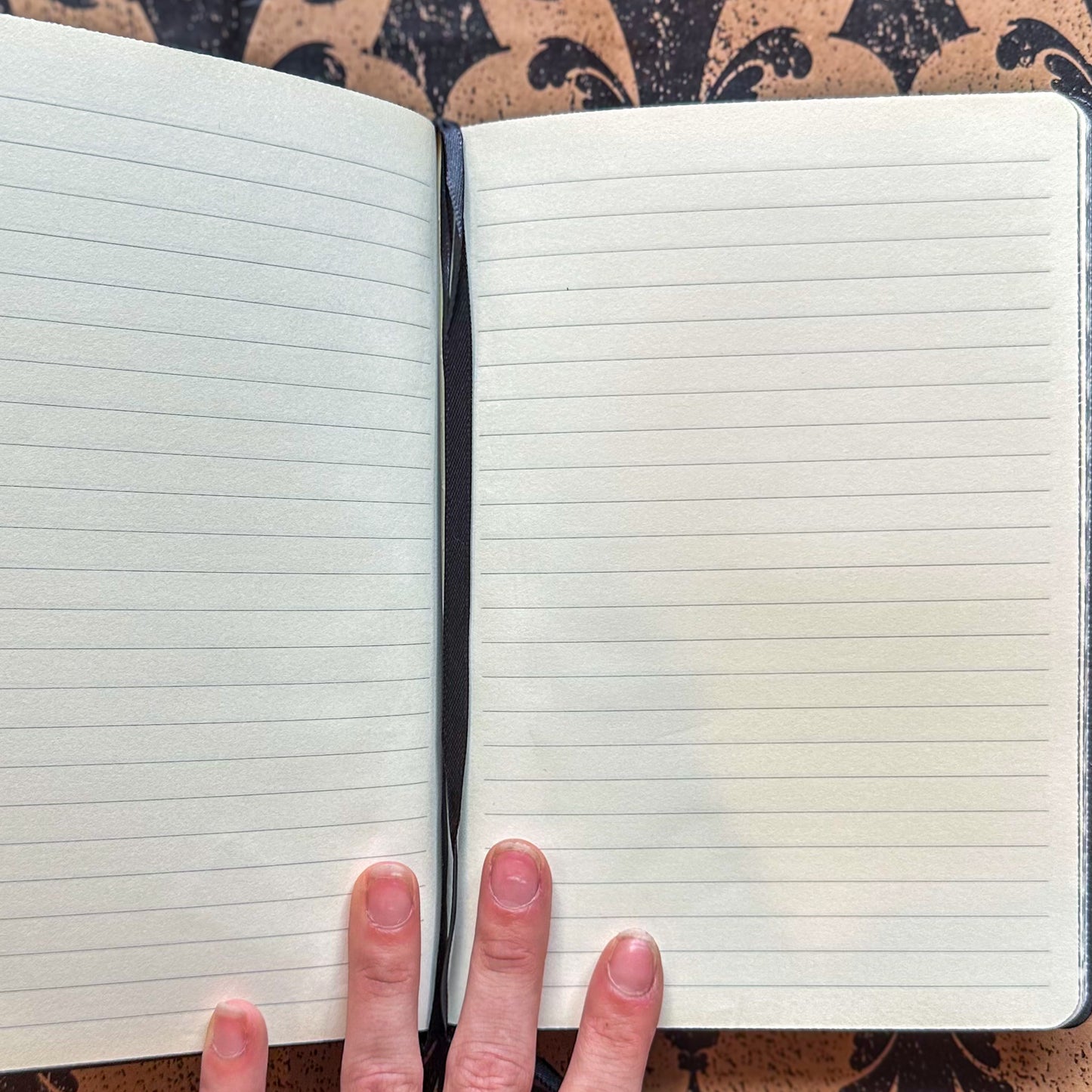 Alchemy: Poe's Raven Journal