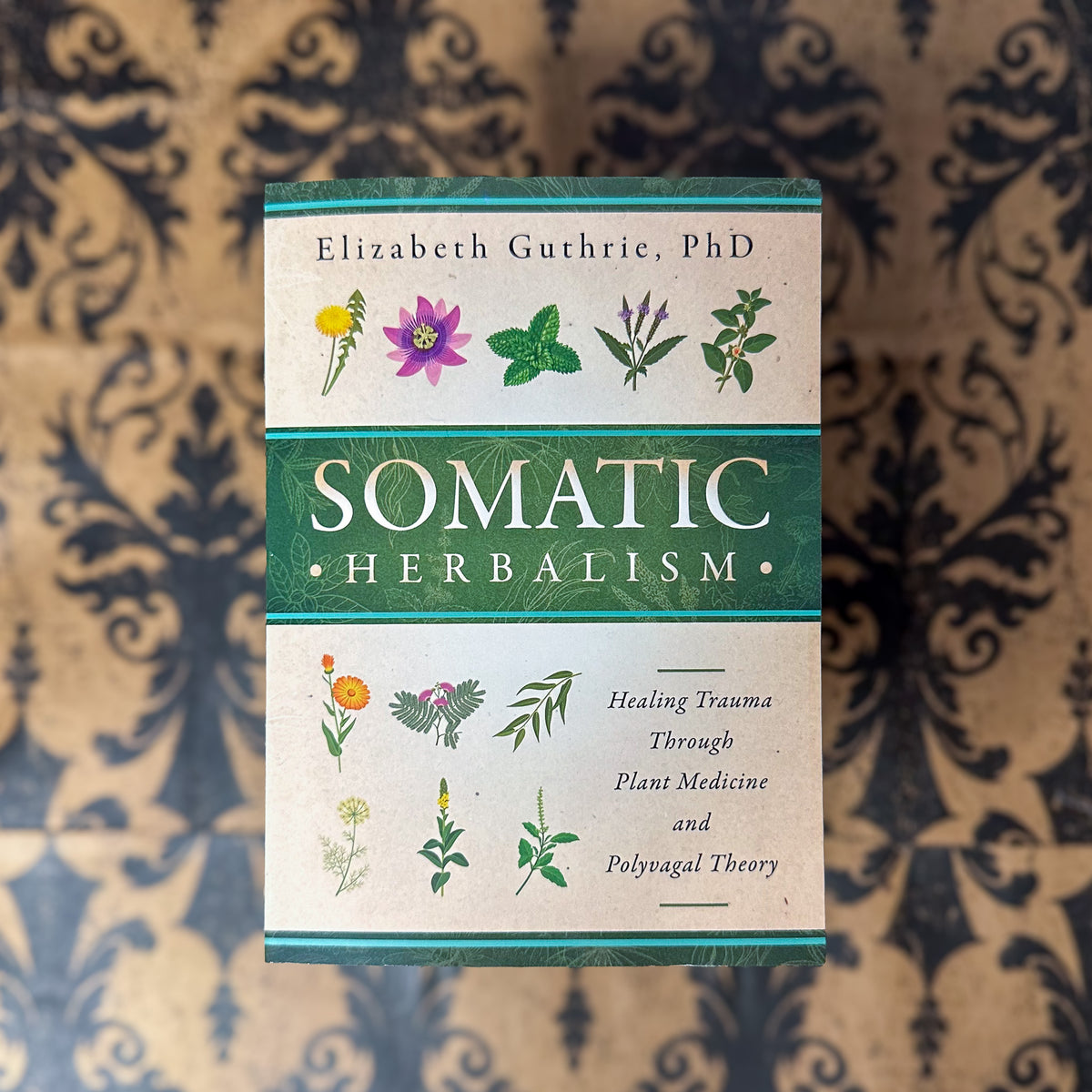 Somatic Herbalism: Healing Trauma through Plant Medicine