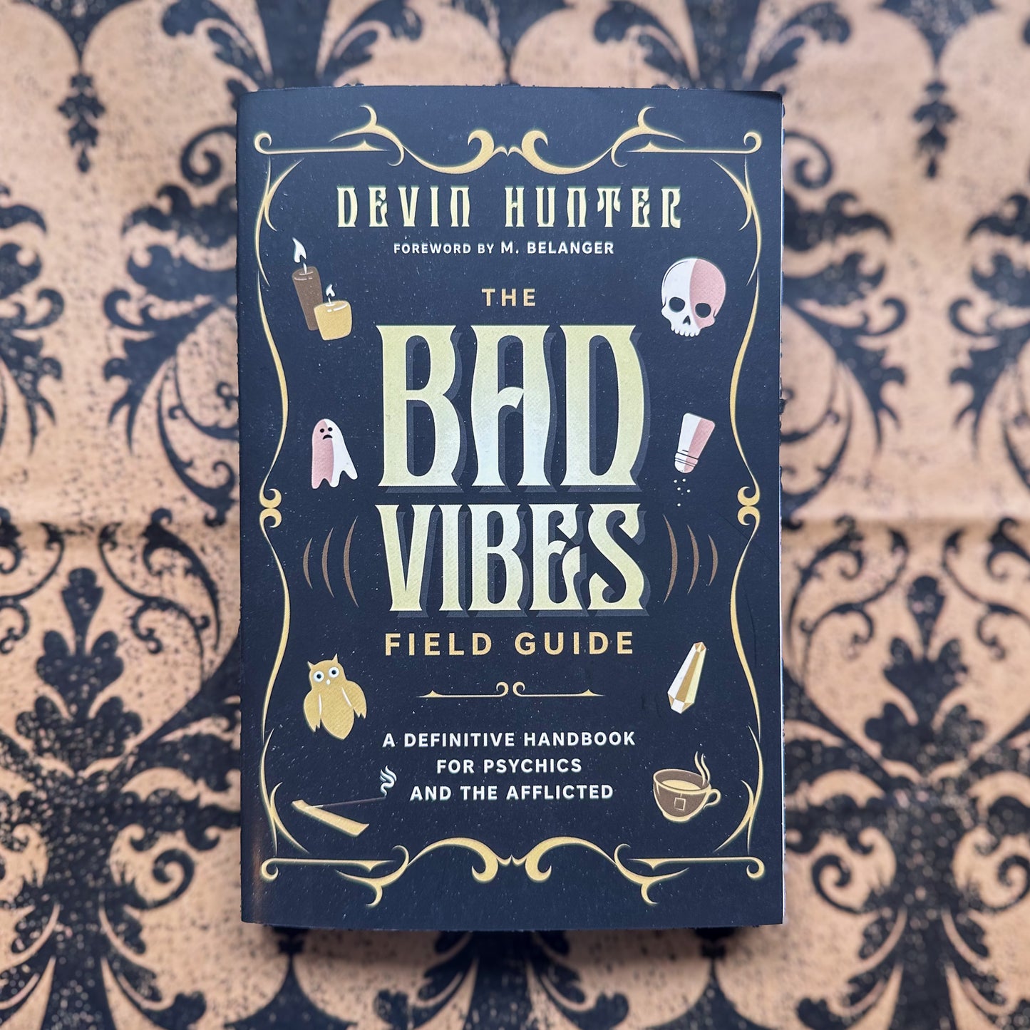 The Bad Vibes Field Guide