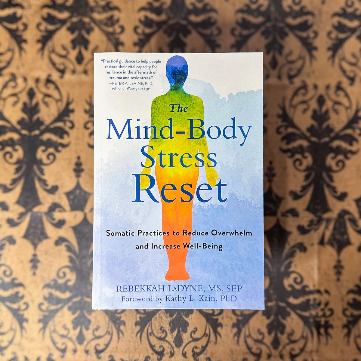 The Mind-Body Stress Reset