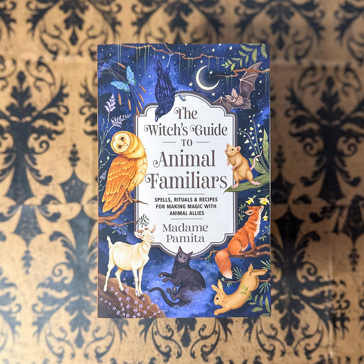 Witch's Guide to Animal Familiars