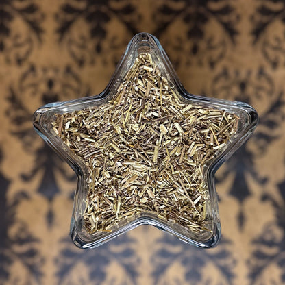 Vervain