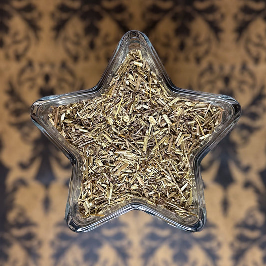 Vervain