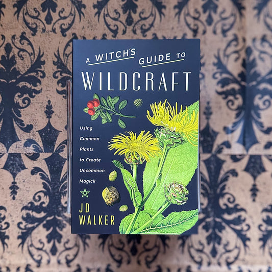 A Witch's Guide to Wildcraft