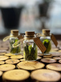 Green Tourmaline Needles