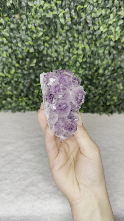 Amethyst Cluster Small