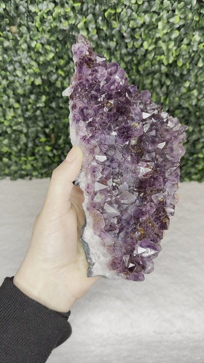 Amethyst Cluster Large