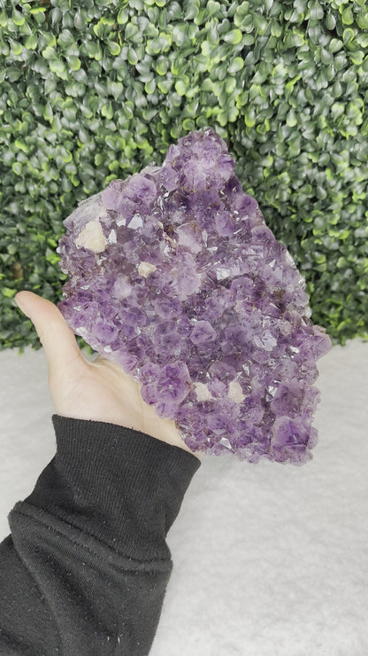 Amethyst Cluster Large