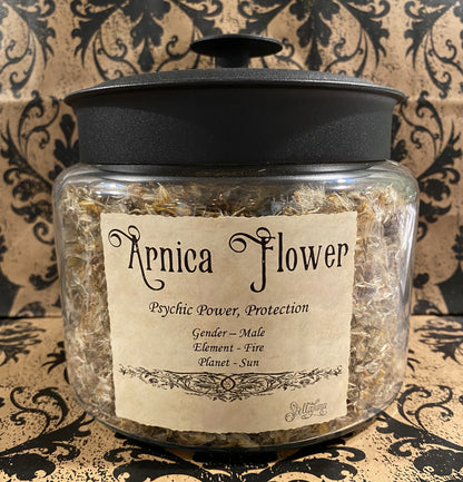 Arnica Flower