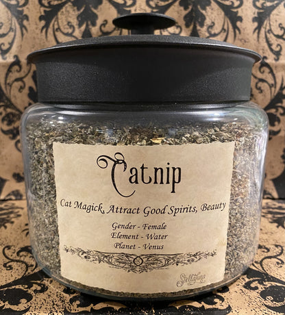 Catnip