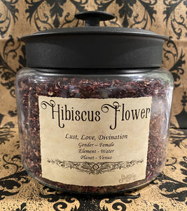 Hibiscus Flower