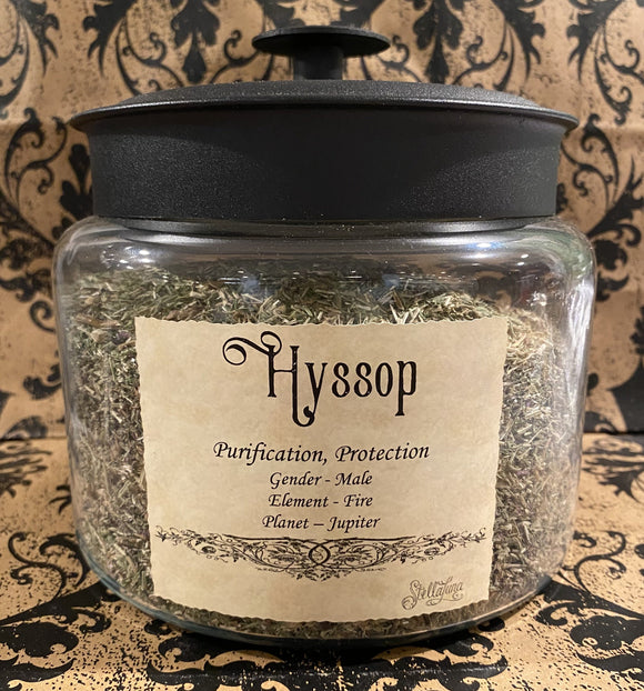 Hyssop