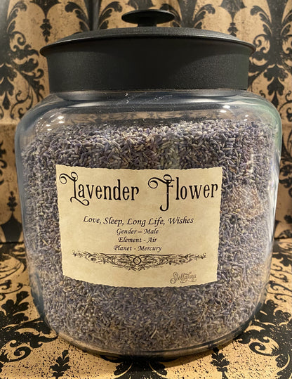 Lavender Flowers