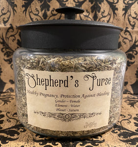 Shepherd's Purse