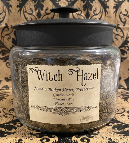 Witch Hazel