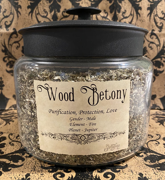 Wood Betony