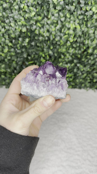 Amethyst Cluster Small