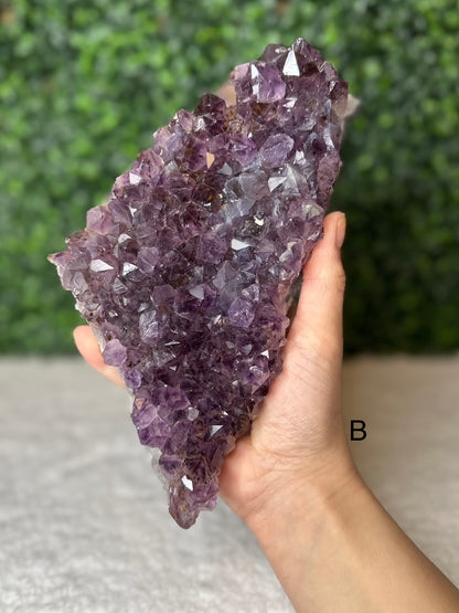 Amethyst Cluster Large